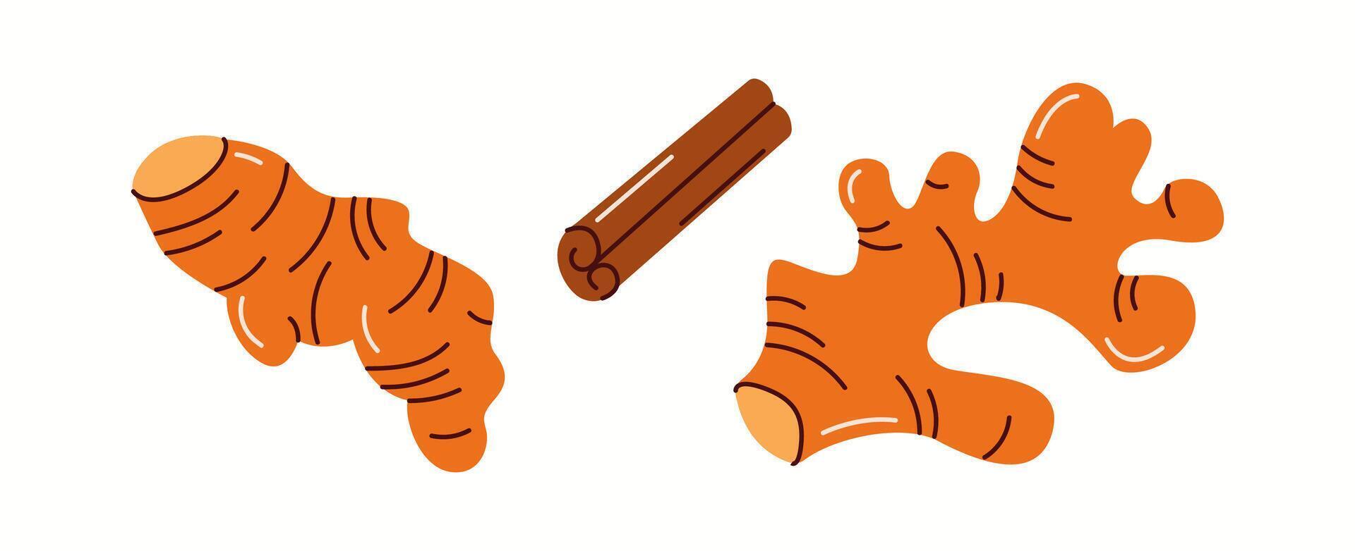 Illustration of fresh ginger root and cinnamon sticks, commonly used in kombucha brewing to enhance flavor and provide natural health benefits. vector
