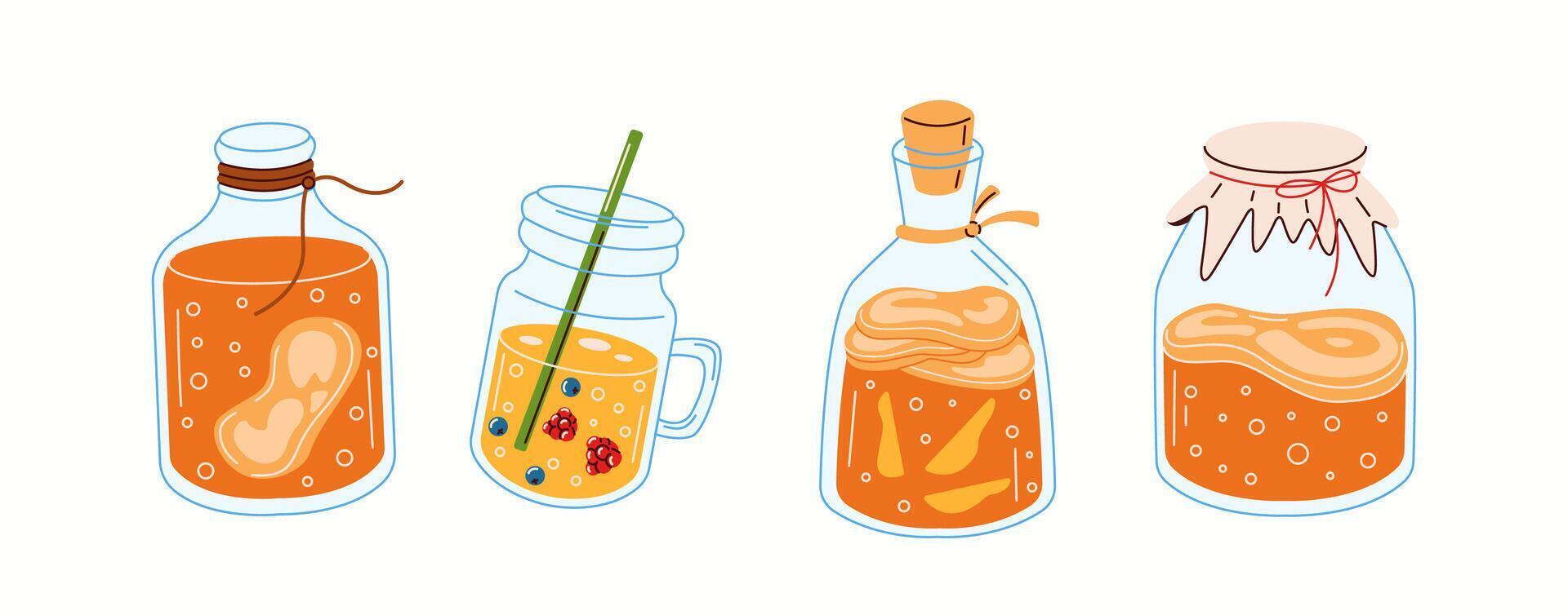 Illustration featuring various kombucha brewing containers, including mason jars and bottles, filled with probiotic tea and natural ingredients. vector