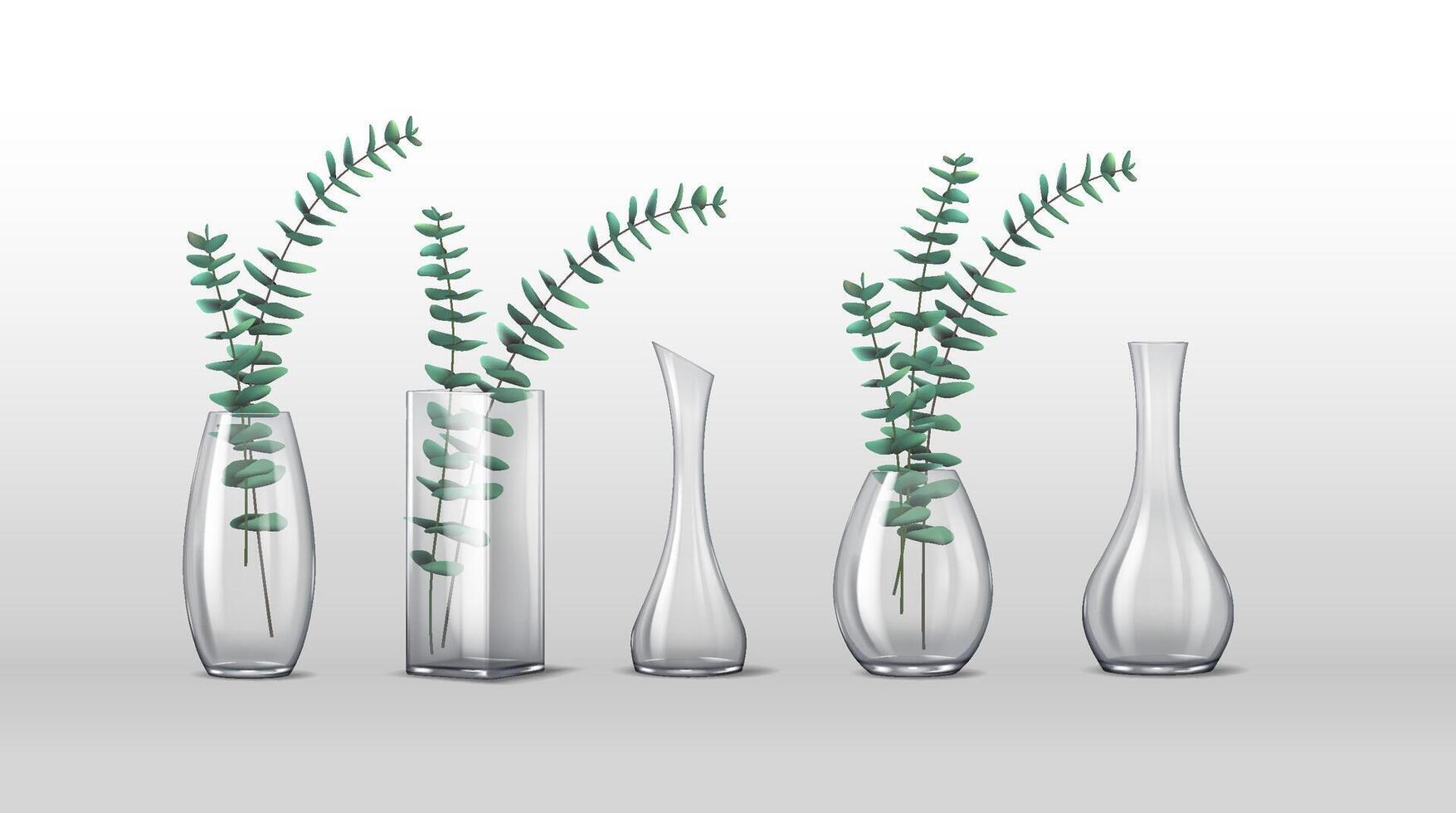 3D realistic illustration of minimalist glass vases featuring eucalyptus branches. Ideal for modern home decor and interior aesthetics. vector