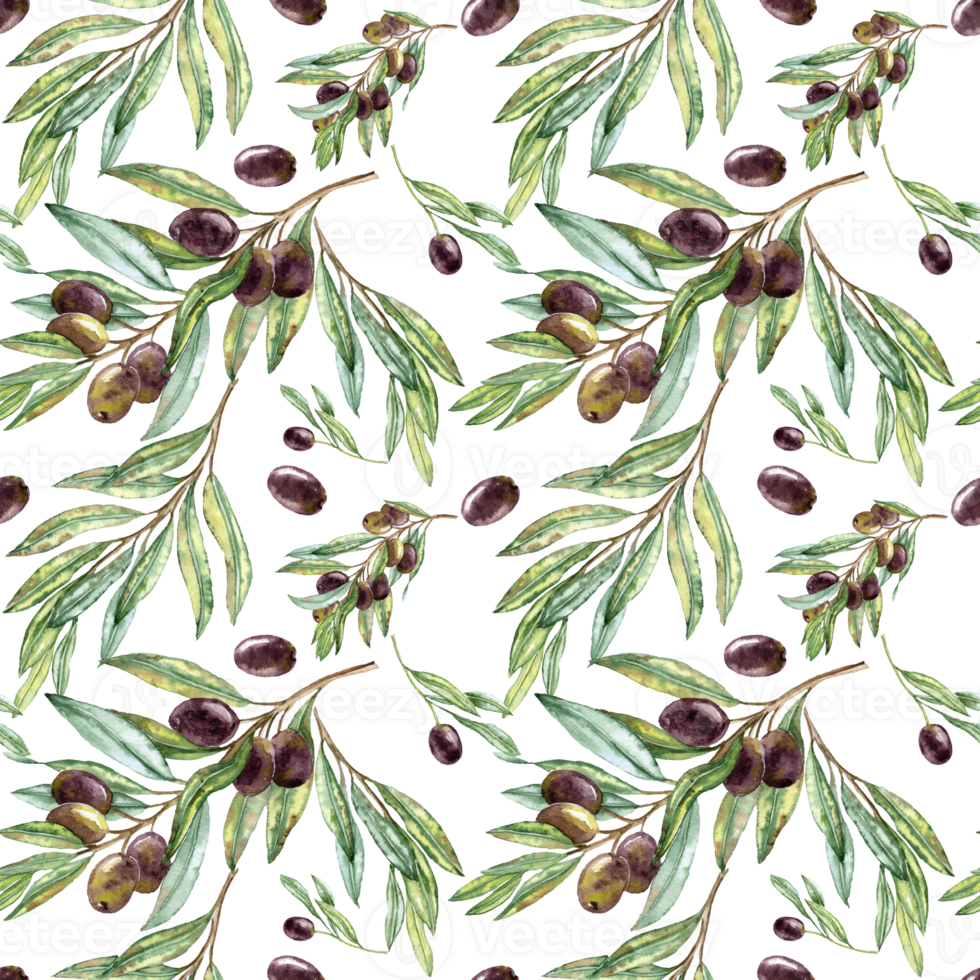 Seamless pattern with olive Branches png