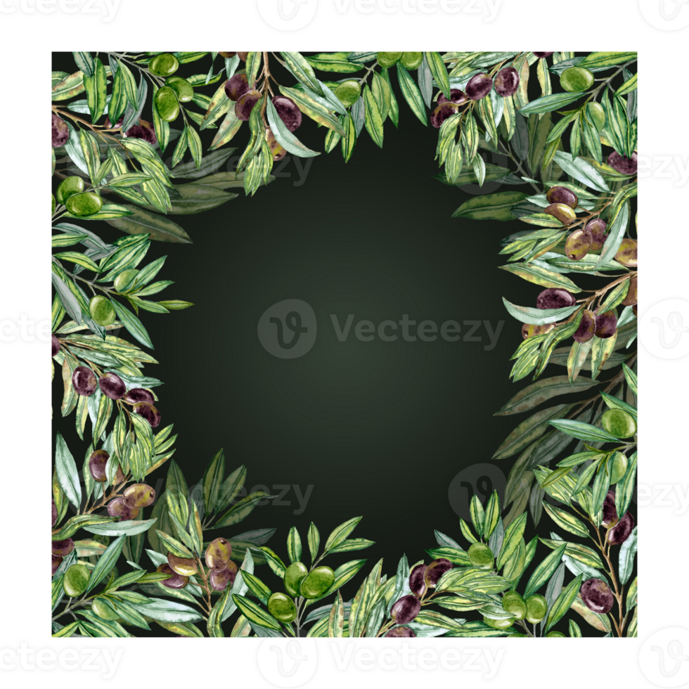 Lush Frame with green foliage. Aquarelle dark and green olives Branches png