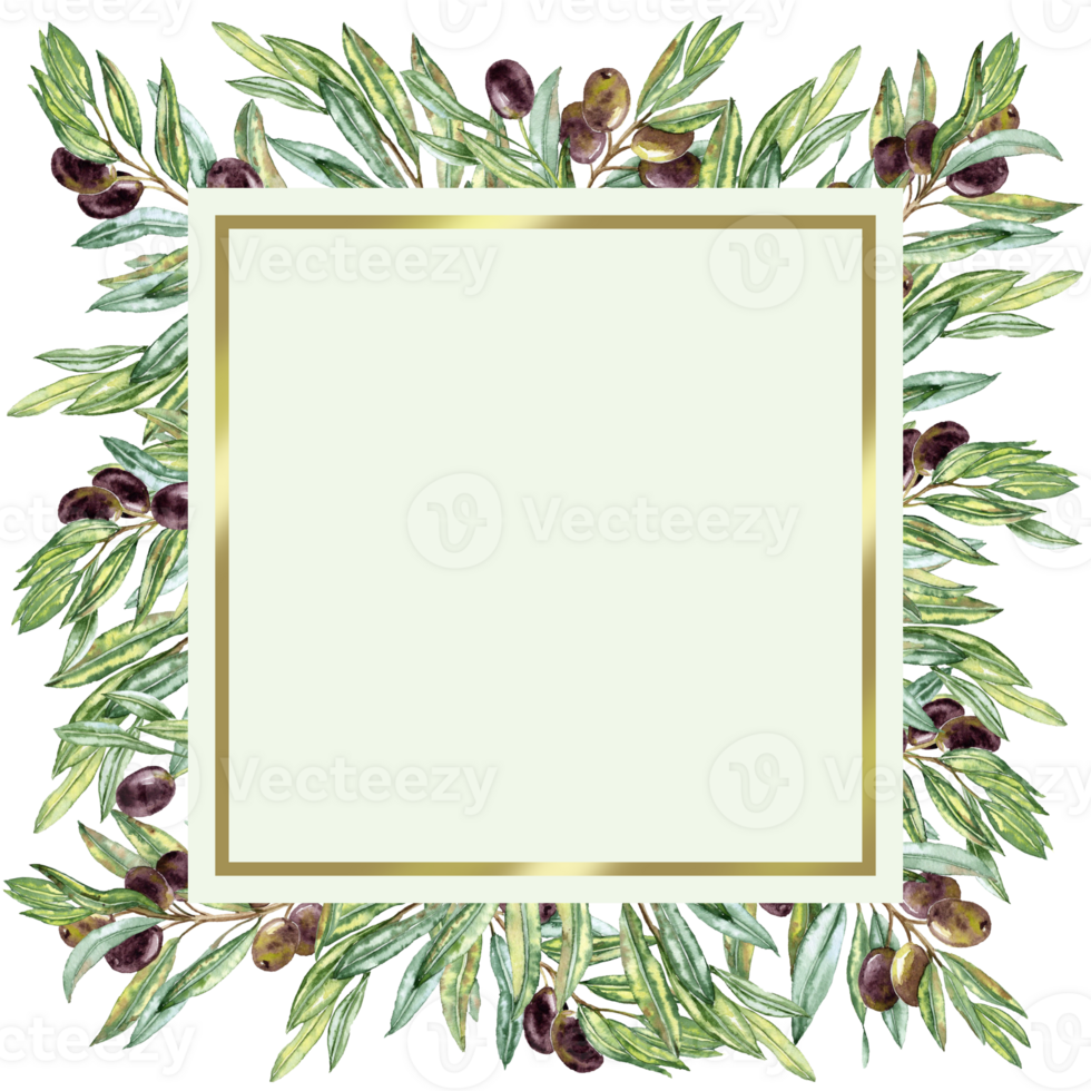 Square Card-frame with olives Twigs png
