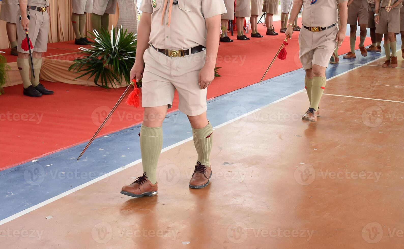 Two men in khaki shorts and brown shoes are walking down a red carpet photo