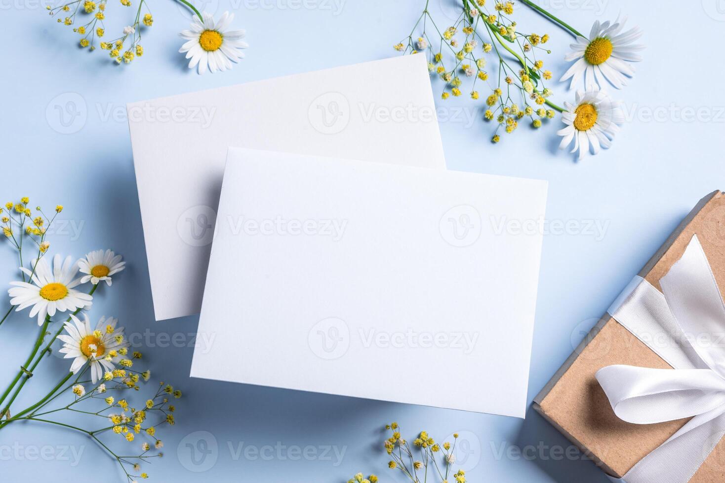 Empty blank card with daisy flowers photo