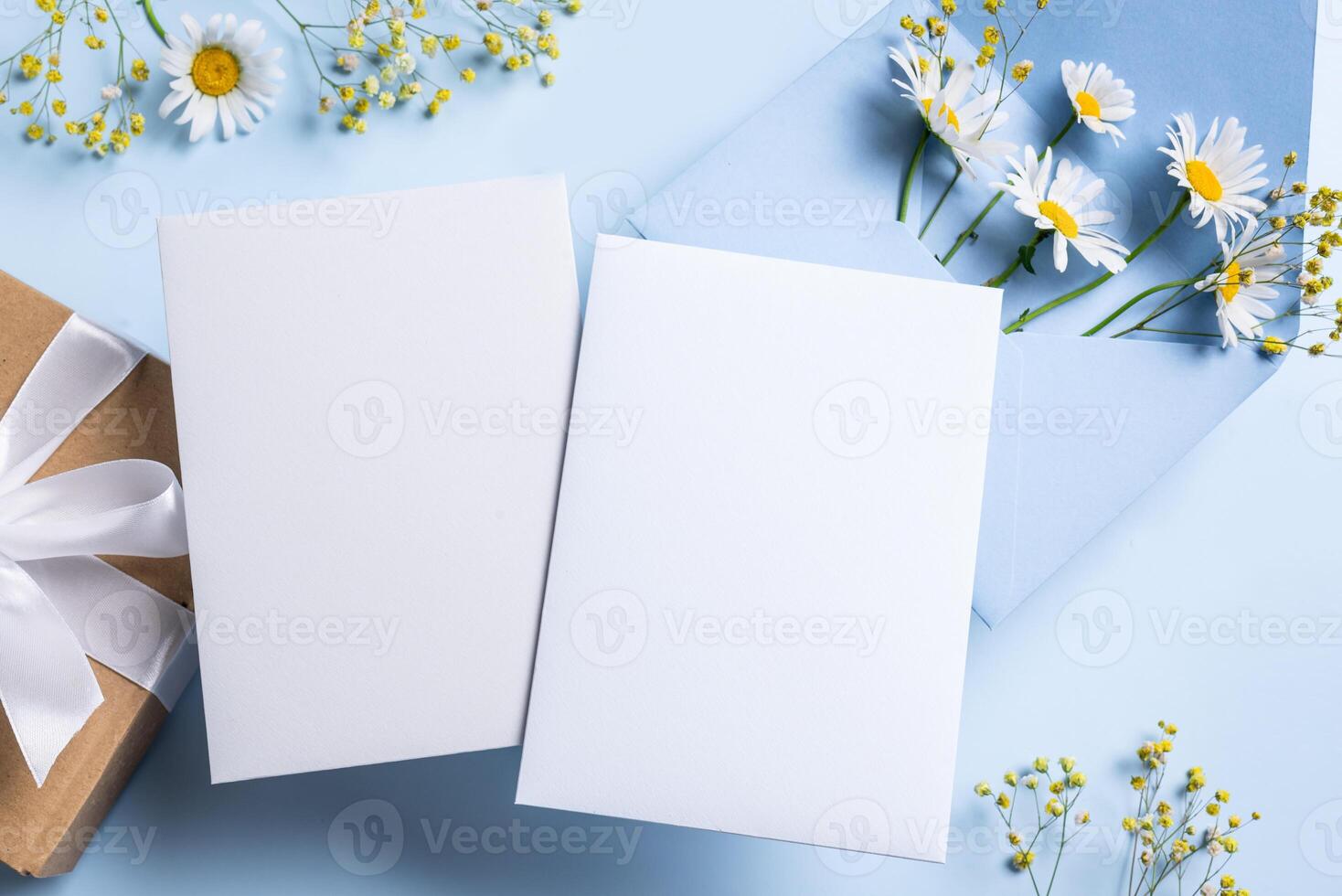 Empty blank card with chamomile flowers photo