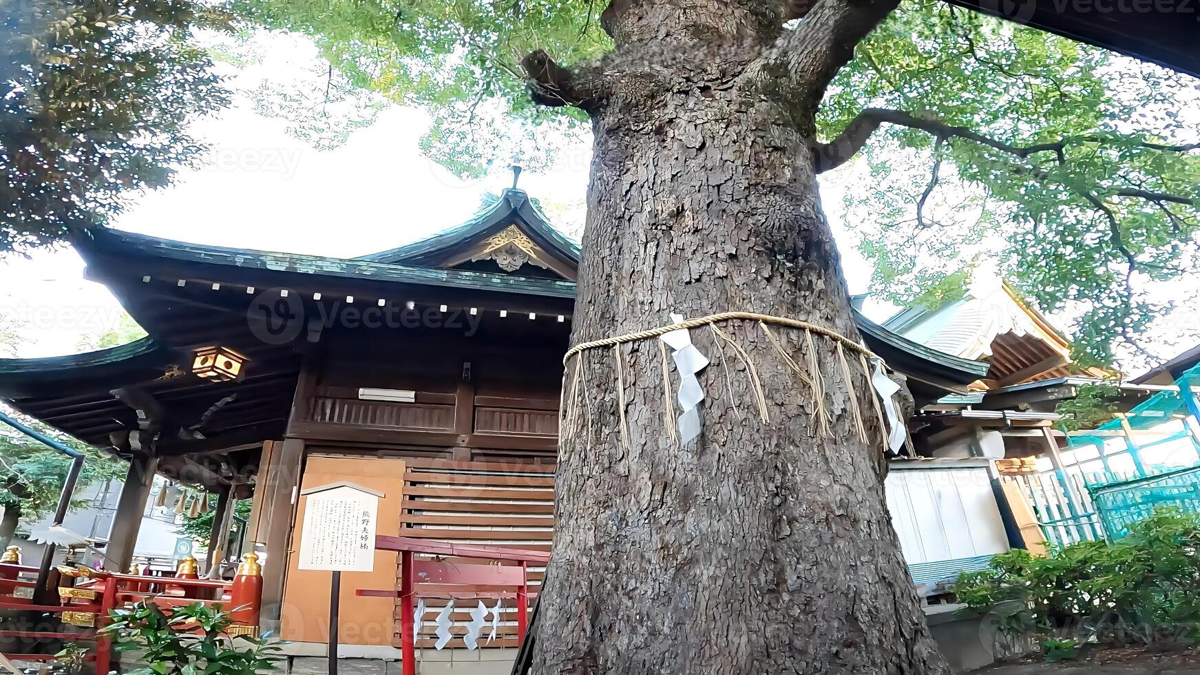 Japan, Tokyo, Shrine in Katsushika Ward Kumano Shrine Kumano Shrine. Founded more than one thousand years ago. Onmyoji Haruaki Abe was encouraged and worshiped the gods of Kishu Kumano, using ancient photo