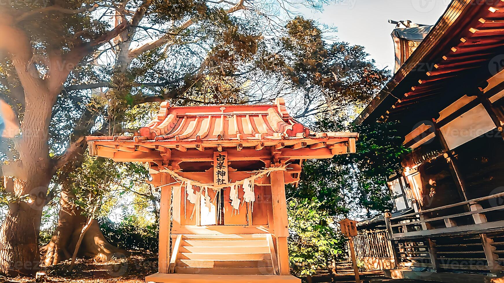 Hatsutomi Inari Shrine, a shrine in Kamagaya City, Chiba Prefecture It began in the early Meiji period when the samurai of the former shogunate began cultivating the Hatsutomi area photo