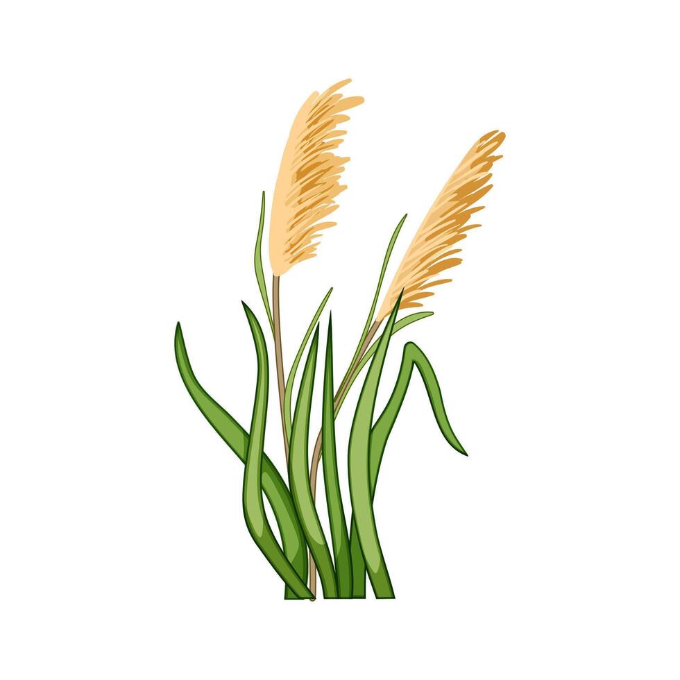reed lake plant cartoon illustration vector