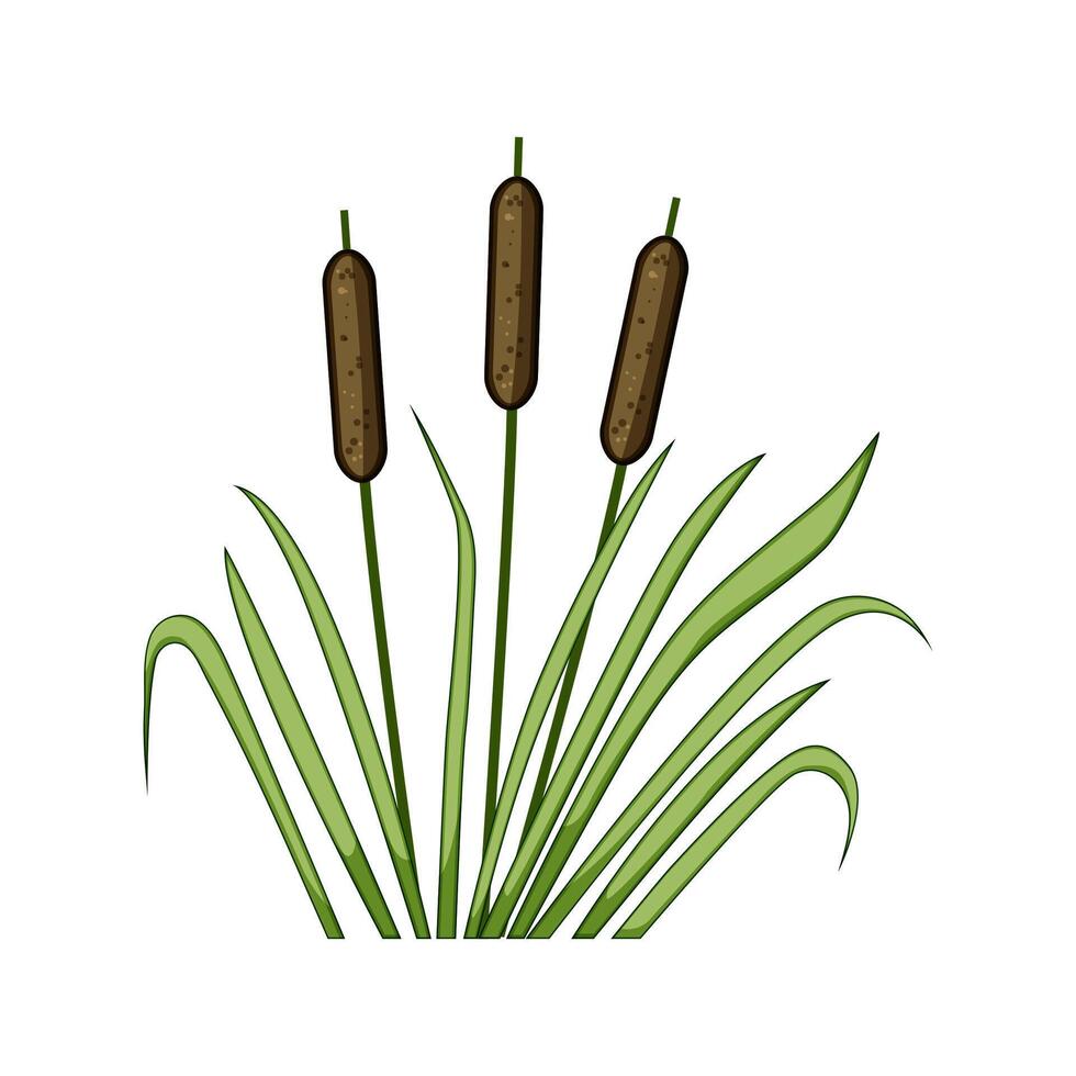 forest lake plant cartoon illustration vector