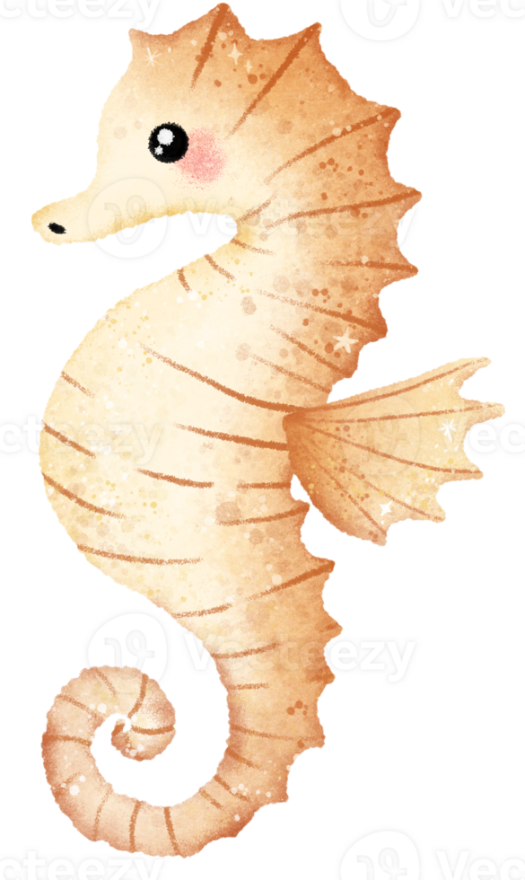 Watercolor Hand drawn illustration underwater animals cute seahorse marine wild life children clip art for textile, decoration, posters, inviation, greeting cards png