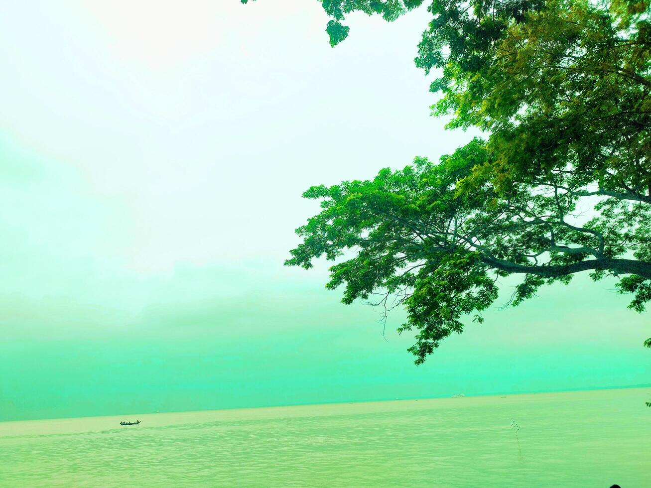 A beautiful landscape view of the hanging branches of trees on the banks of the river photo