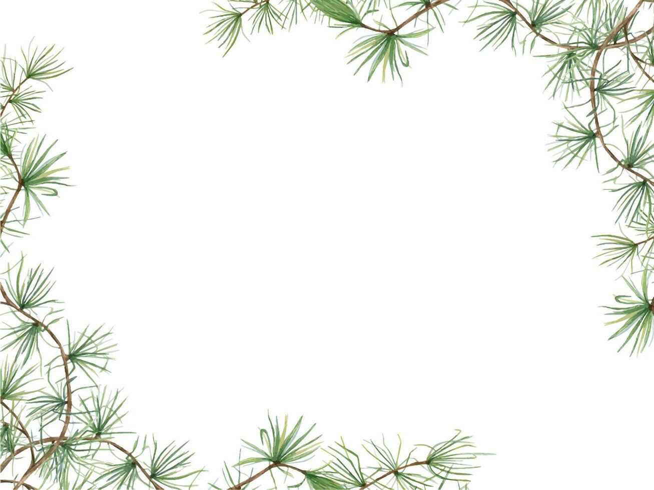 Green pine branches. European Larch or Larix tree, Larix decidua. Beautiful horizontal border with nature theme. Watercolor illustration. Copy space for text. Botanical elements for festive cards vector