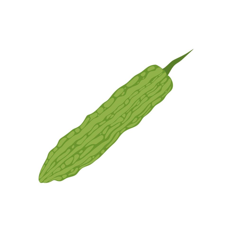 bitter gourd flat design illustration isolated on white background. Bitter melon vegetables with green leaf. Good organic food for healthy. Green fruit or vegetable.Balsam pear medical food vector