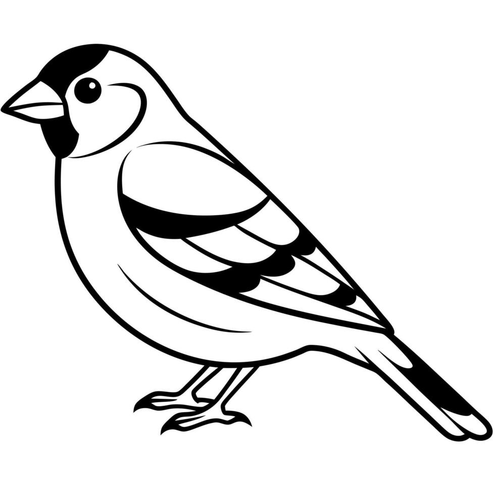 Dikkop bird dancing icon vector