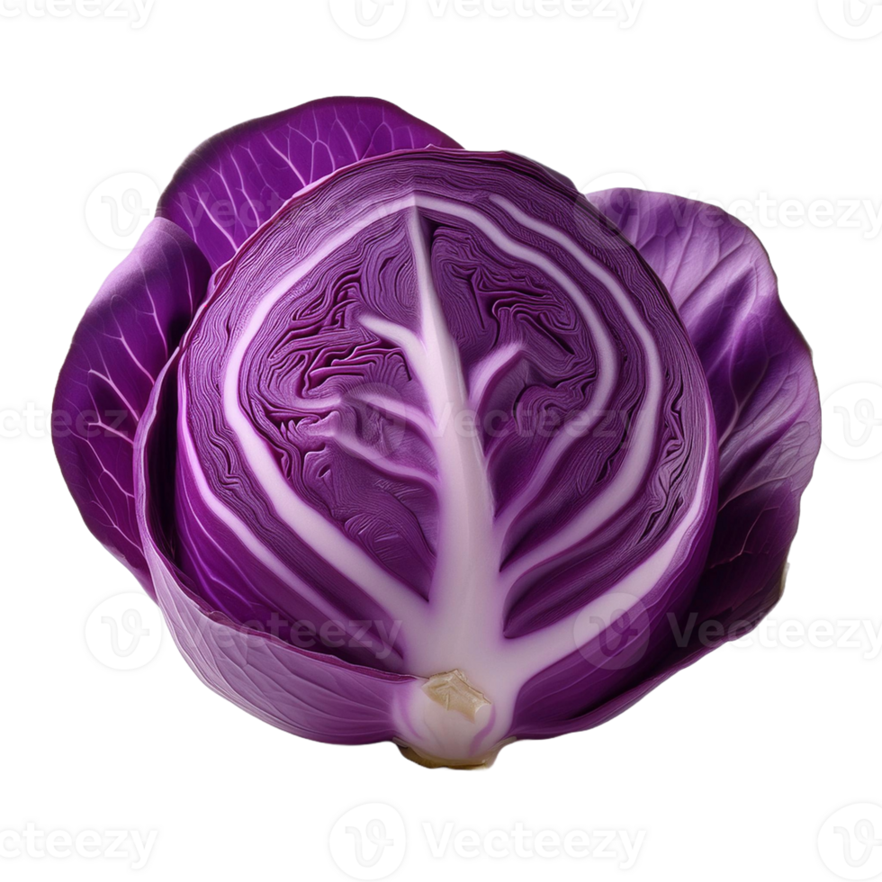 Vegetable Image Without Background Purple Red Cabbage png