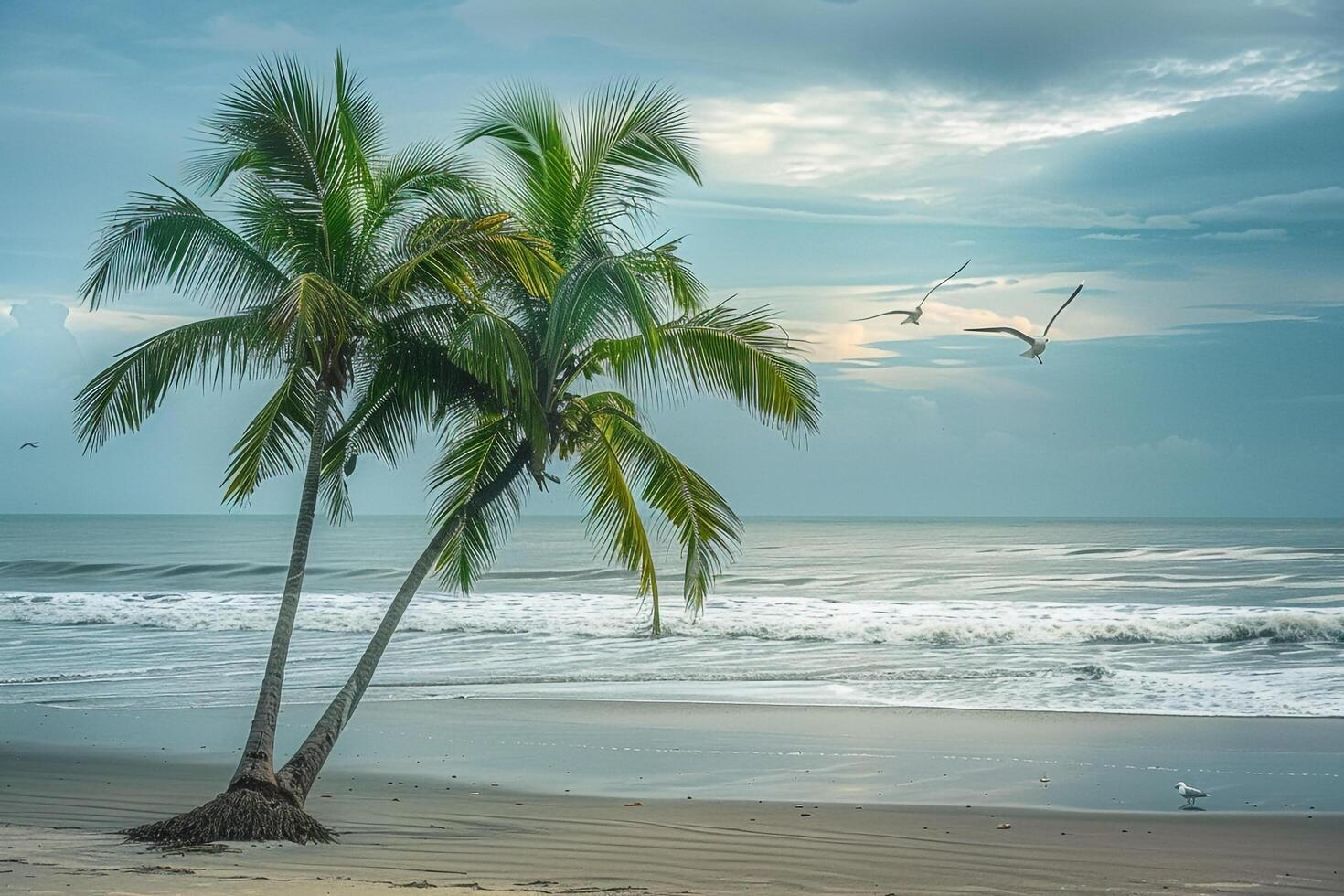 Palm trees leaning over the beach with gentle waves and seagulls in flight background photo