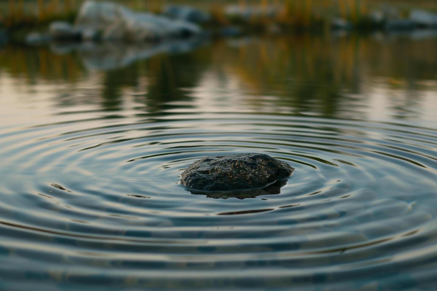 Still Pond with Ripples and Stone Patterns nature background photo
