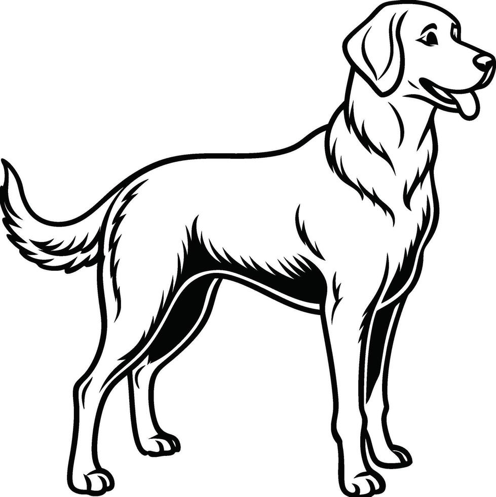 Labrador line art, Labrador line drawing, Labrador outline drawing,Labrador illustrations vector