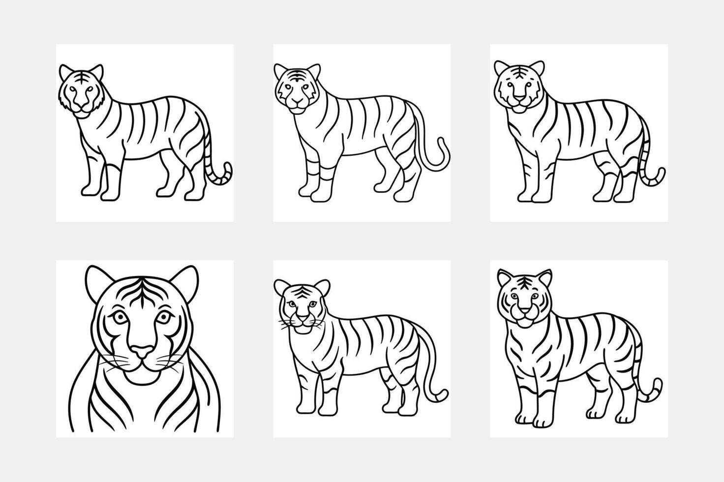 Explore Tiger Line Art Set Illustrations for Inspiration vector