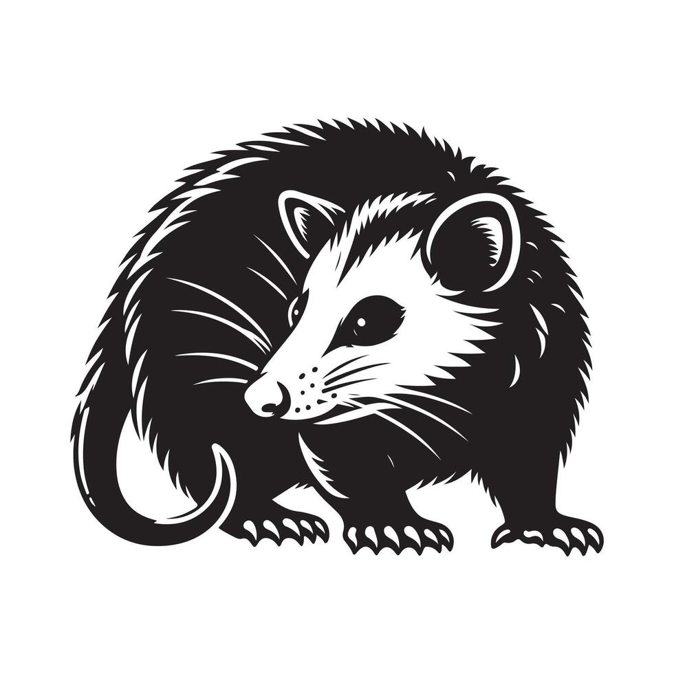 Possum silhouette vectors illustration