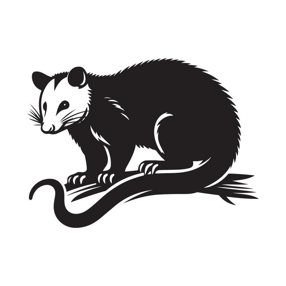 Possum silhouette vectors illustration