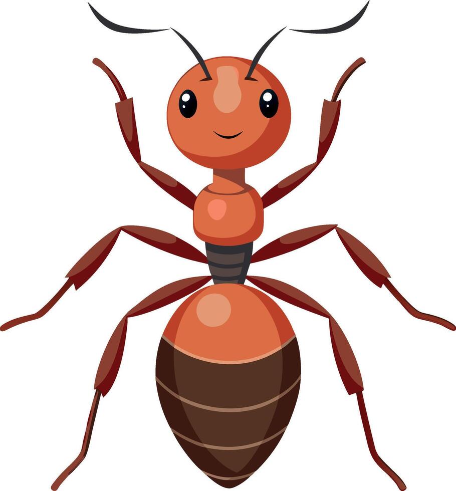 Ant silhouette and illustration with a white background. vector