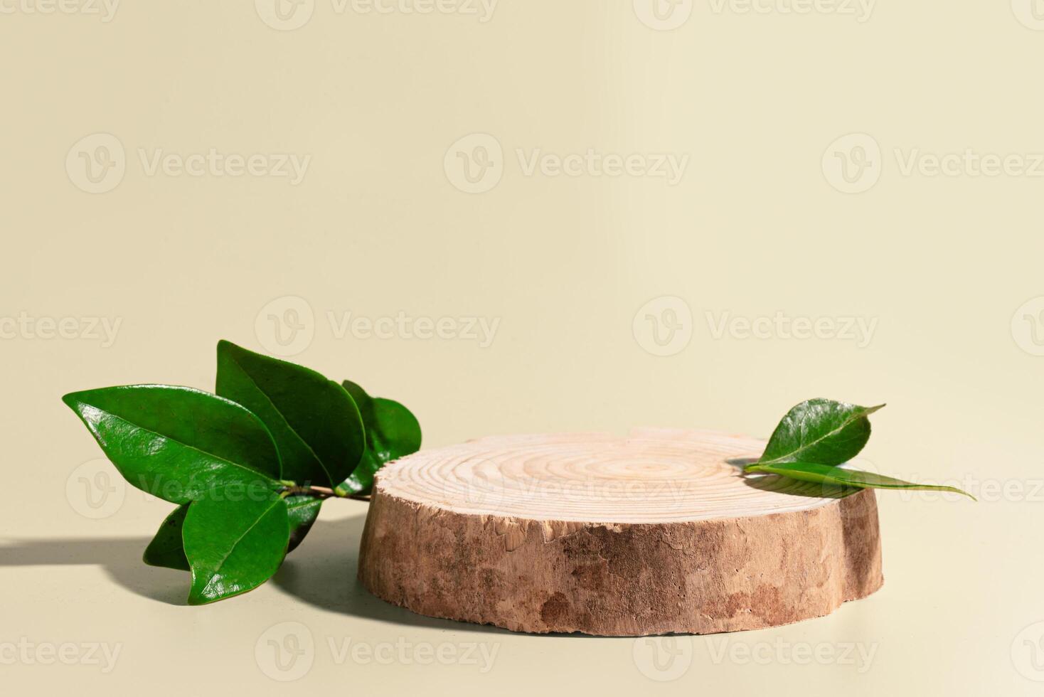Wood podium platform with green leaves photo
