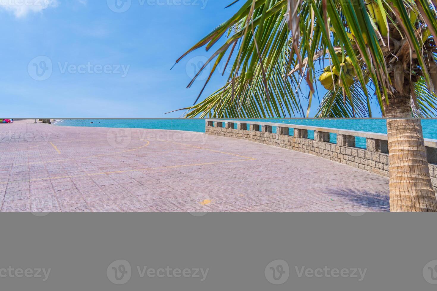 Panoramic coastal Vung Tau view, with waves, coastline, streets, coconut trees and Tao Phung mountain in Vietnam. Travel concept photo