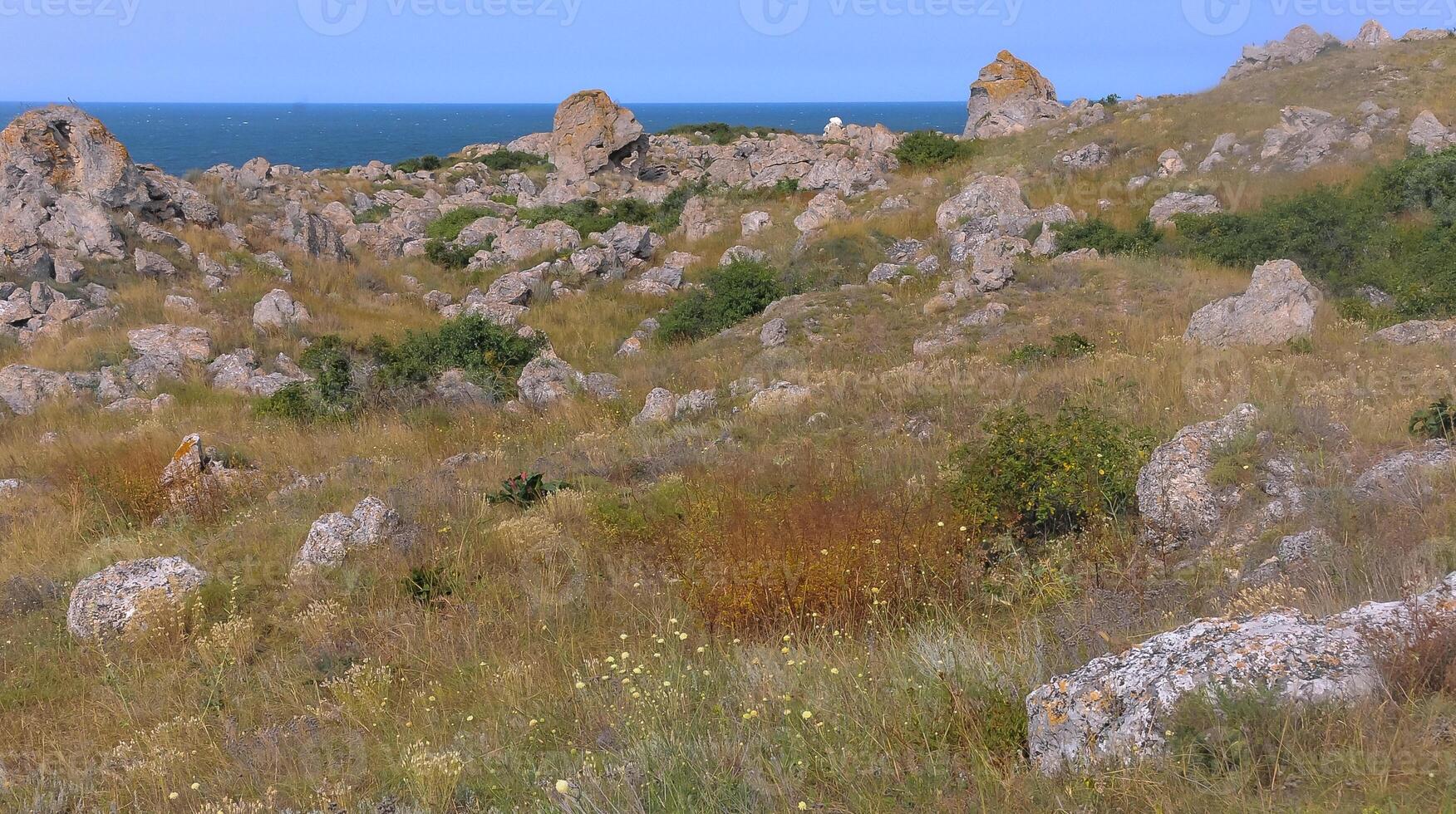 Shell stones and rocks on the territory of Kazantip, steppe landscape with specific flora and fauna, eastern Crimea photo