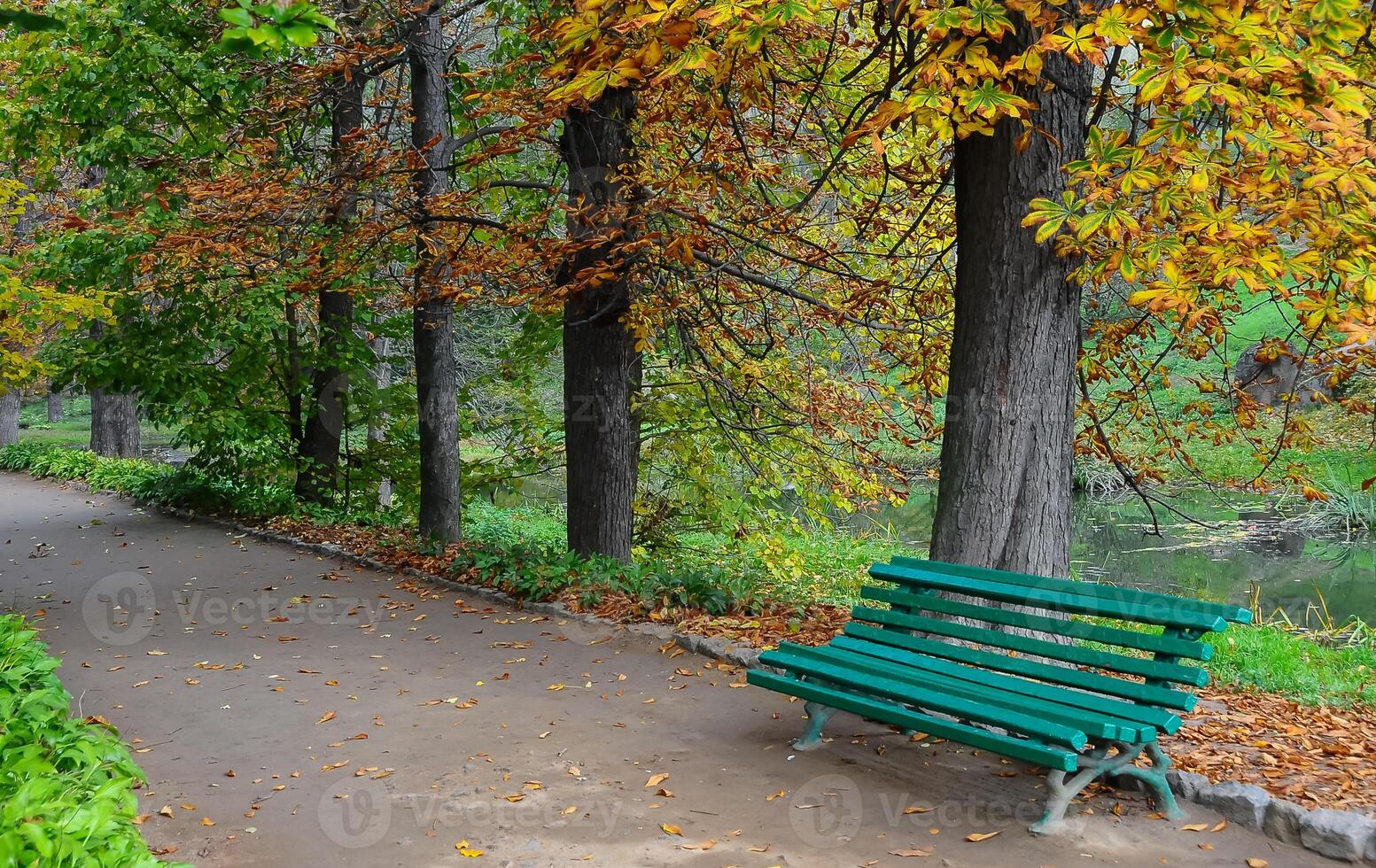 Green bench for rest in the arboretum Sofiyivka park, Uman photo