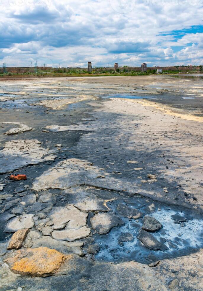 Yellow eggs of the crustaceans Artemia salina on the bank of the drying photo