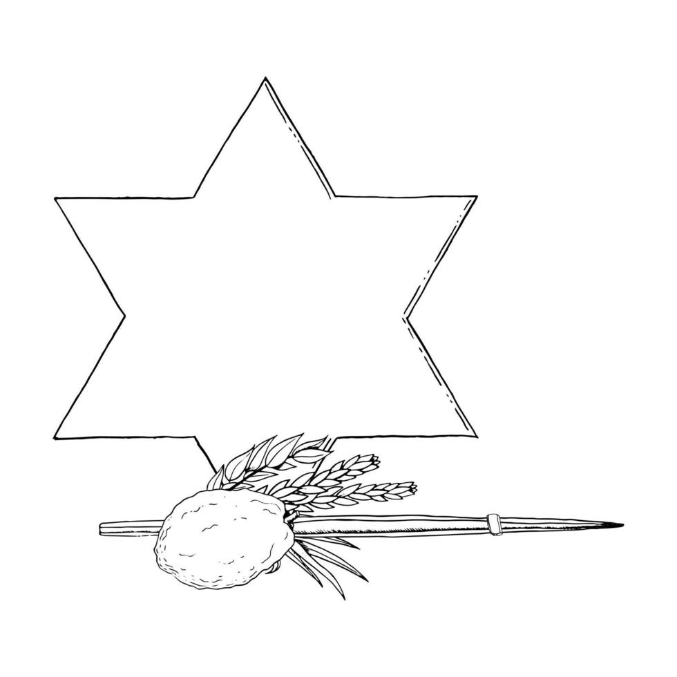Black and white Sukkot symbolic plants for Jewish holiday with star of David line illustration. Four species willow and myrtle branches, etrog citron fruit, palm frond vector