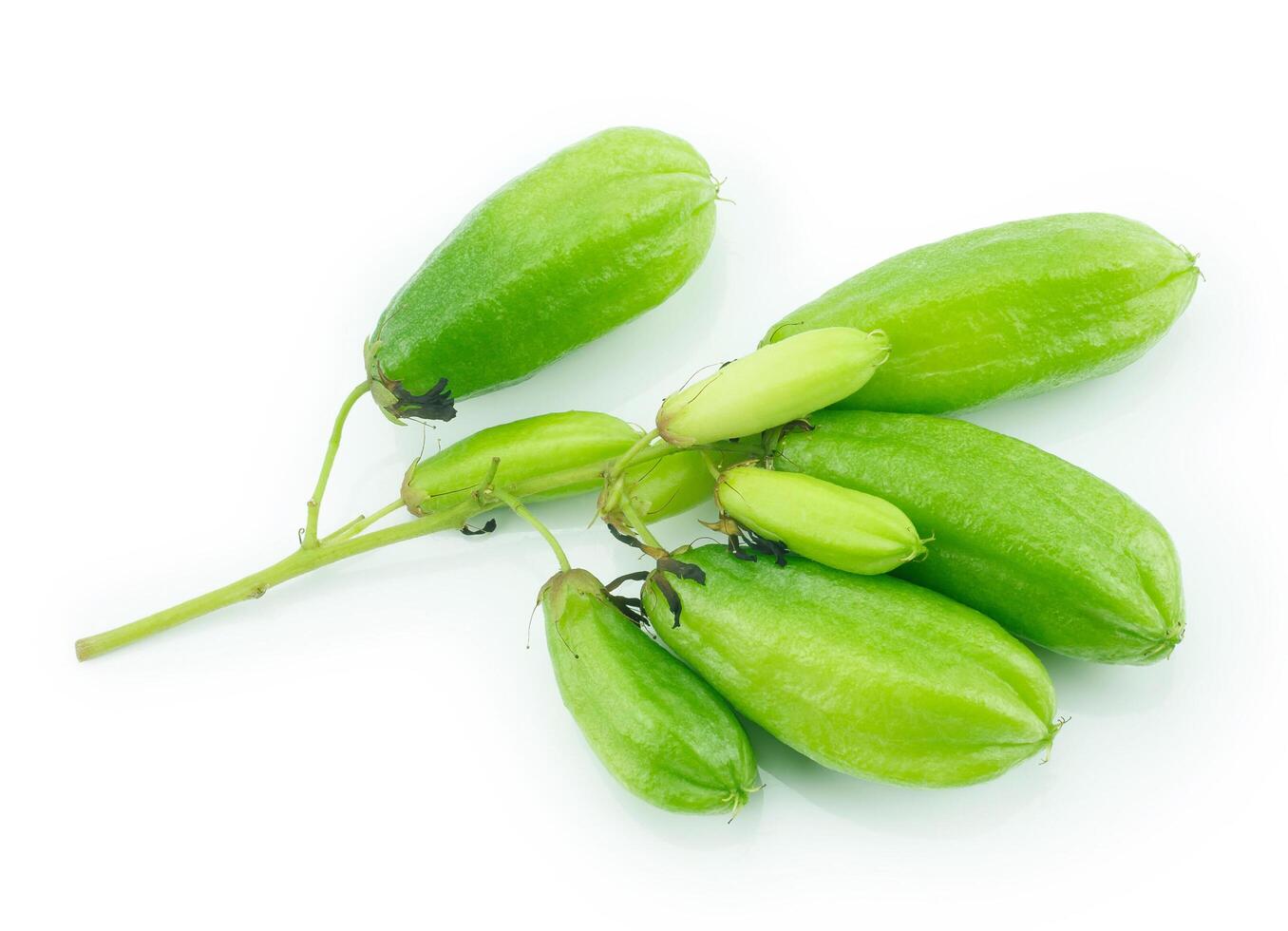 Bilimbi or cucumber fruit slice on white background photo