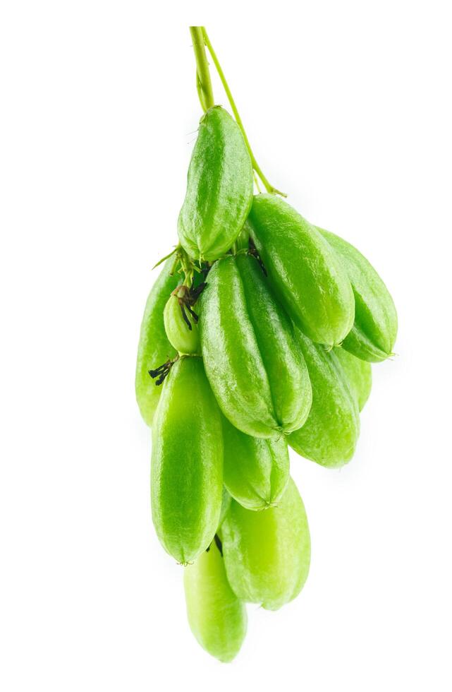 Bilimbi or cucumber fruit slice on white background photo