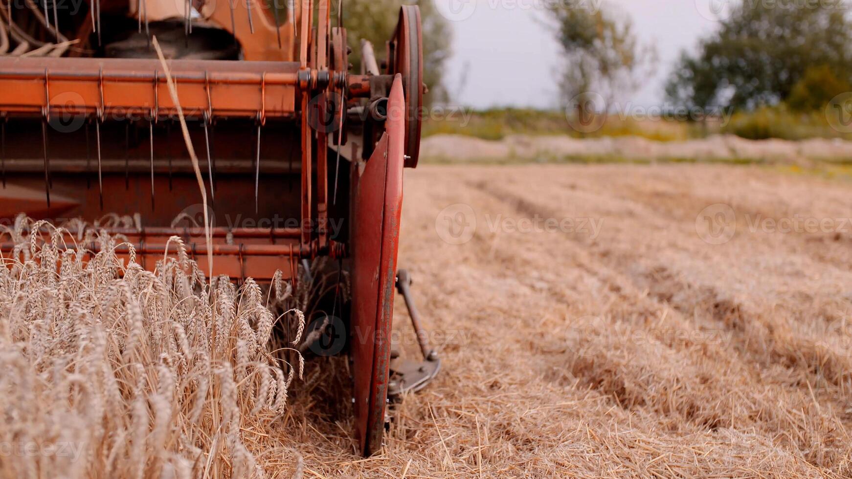 Combine Harvester WorkingIn Field Agriculture photo