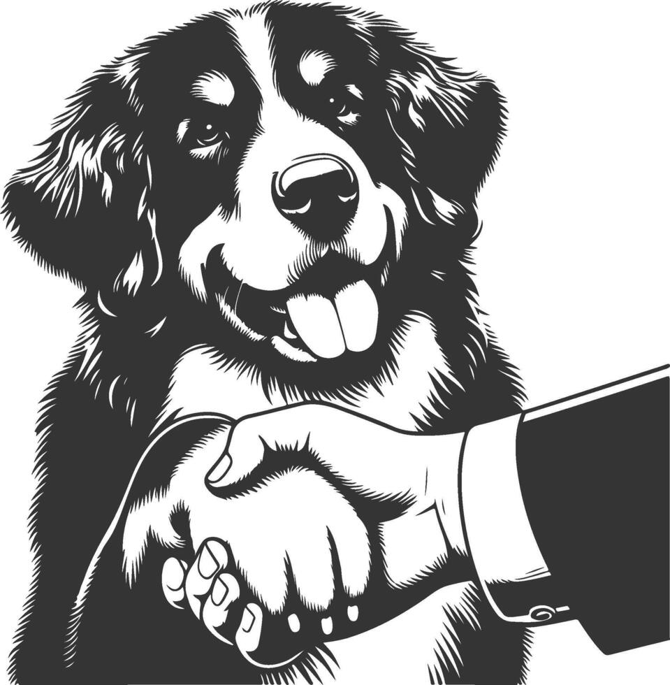 Bernedoodle Dog different poses silhouette design vector
