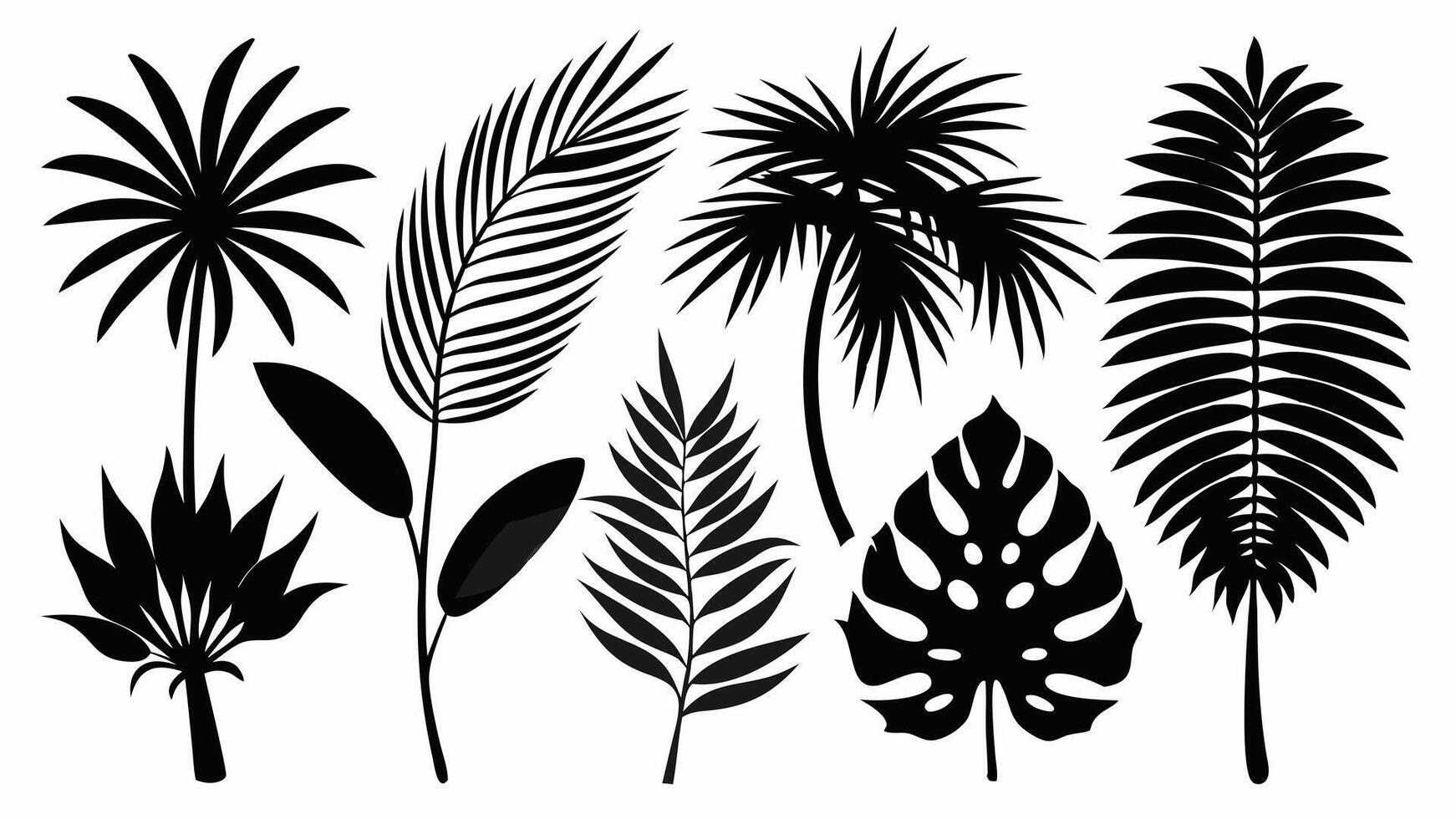 Set of 6 Beautiful palm tree leaf silhouette on white background vector