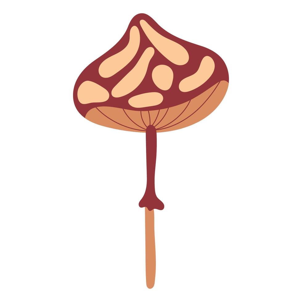 Hand draw autumn mushroom isolated on a white background.Single illustration in doodle flat style. Clipart cozy illustrations for print, wrapping, packaging.Forest food. Fly agaric vector