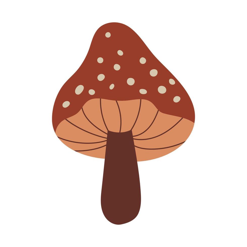 Hand draw brown autumn fly agaric mushroom isolated on a white background.Single illustration in doodle flat style. Clipart cozy illustrations for print, wrapping, packaging.Forest food. vector