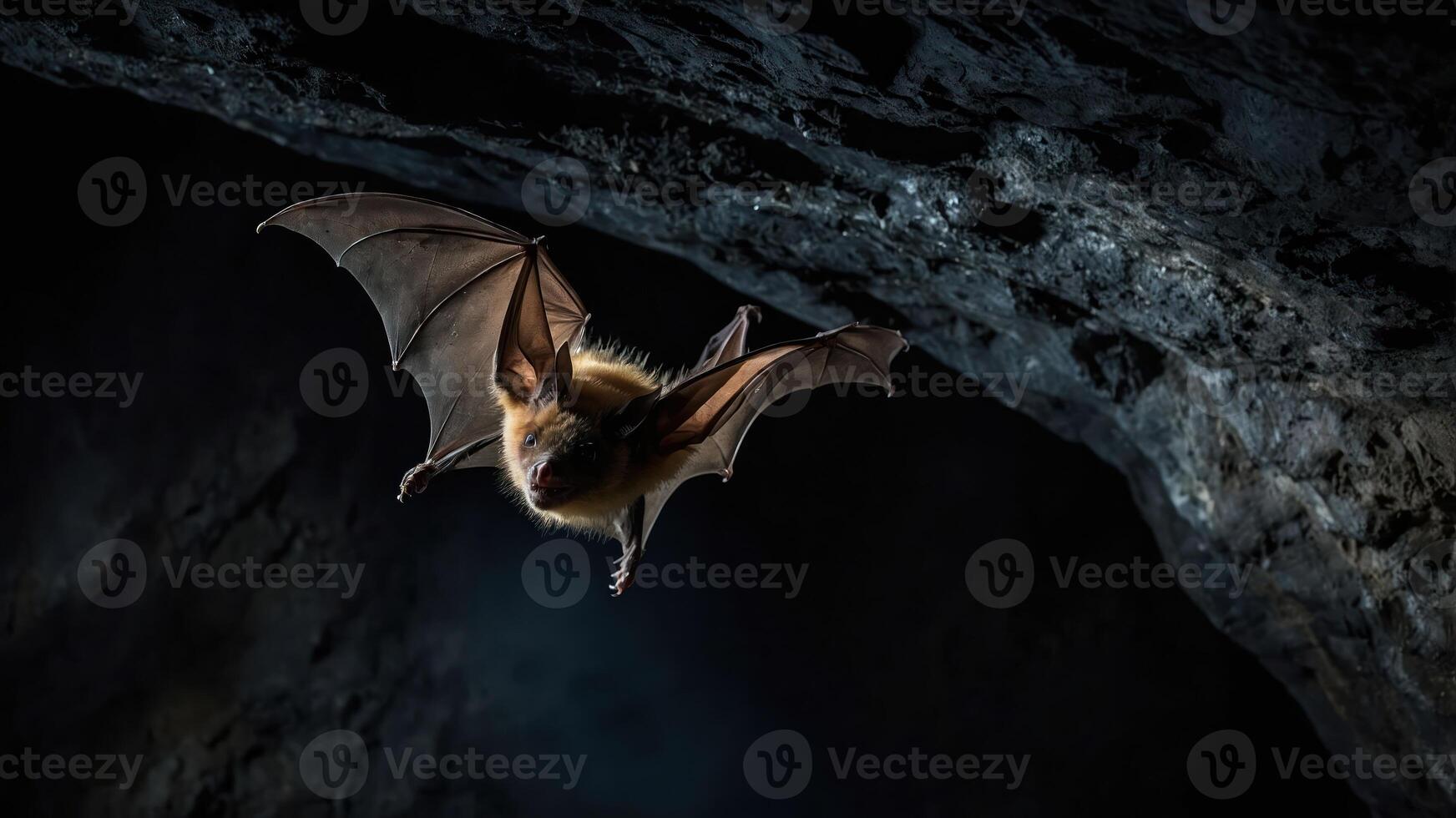 A bat flying in a dark cave, showcasing its wings and natural habitat. photo