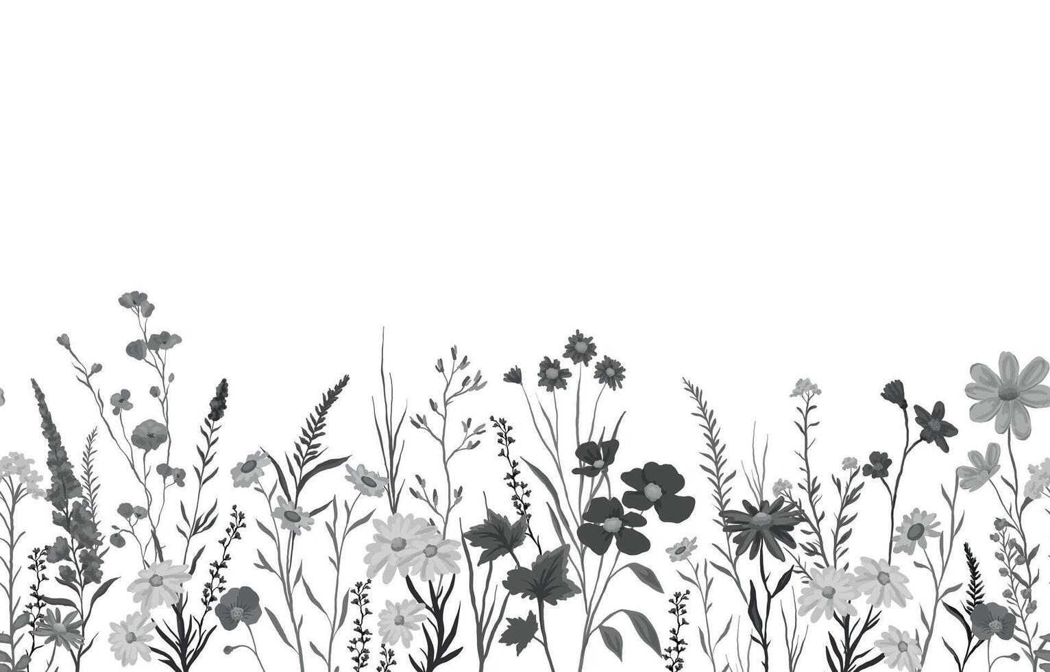 monochrome background with various wildflowers plants, seamless from right to left vector