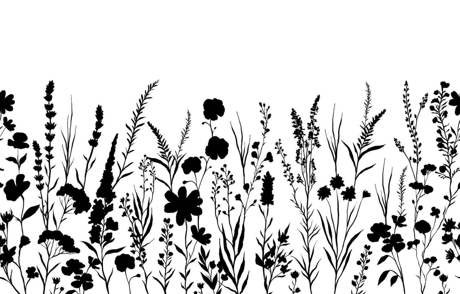 silhouettes of various wildflowers and delicate plants, seamless from right to left vector
