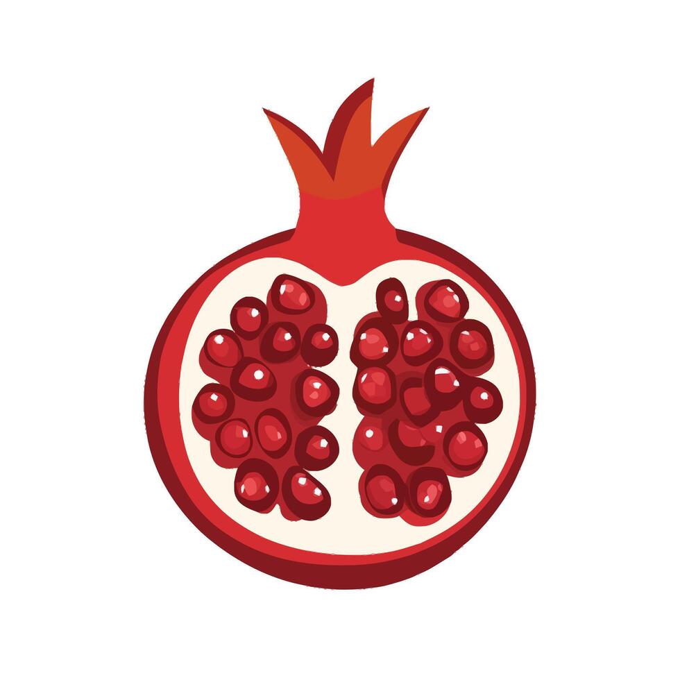 Fresh and Vibrant Red Pomegranate vector