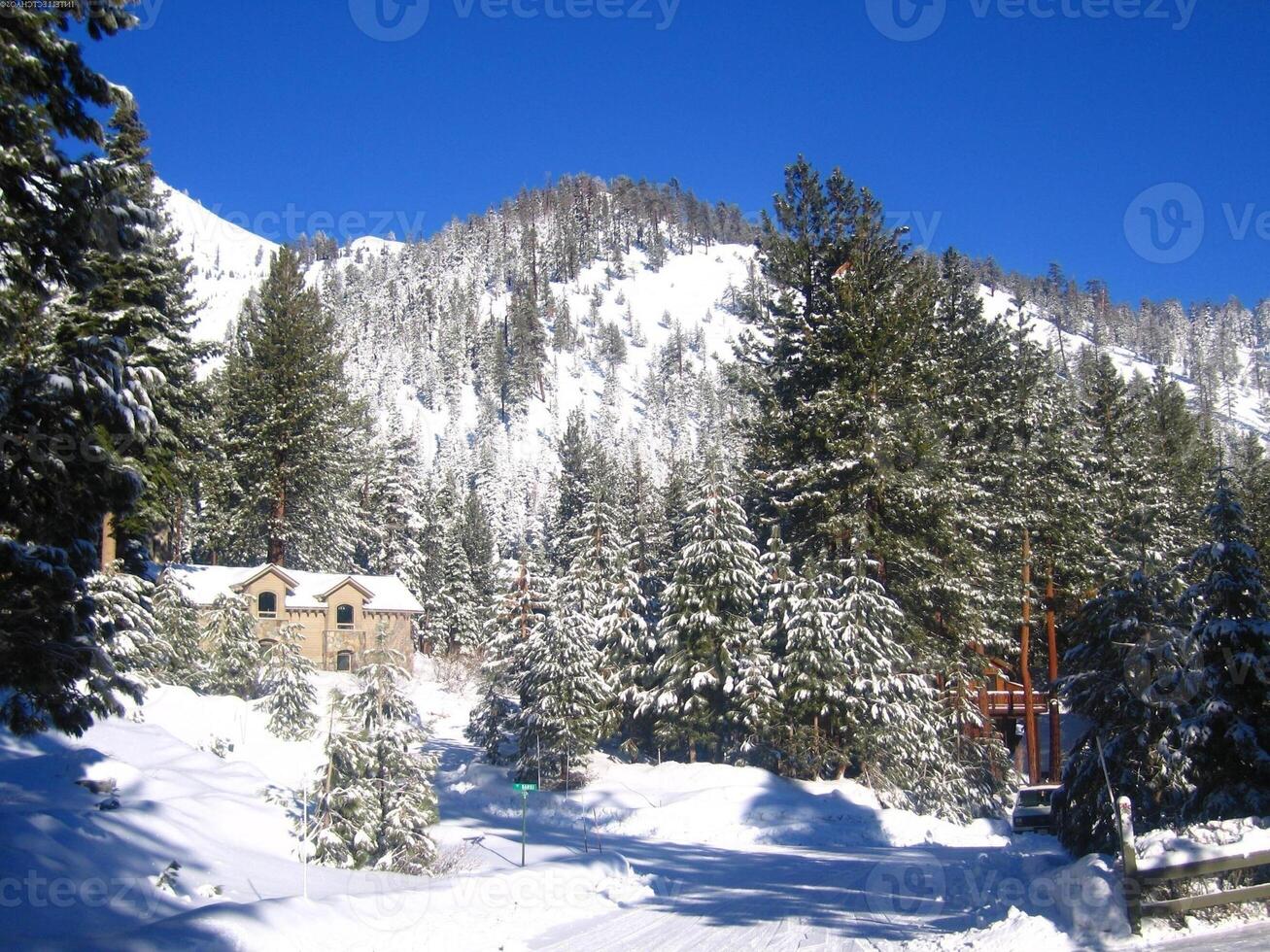 Snowy Mountain Landscape with Larch Trees photo