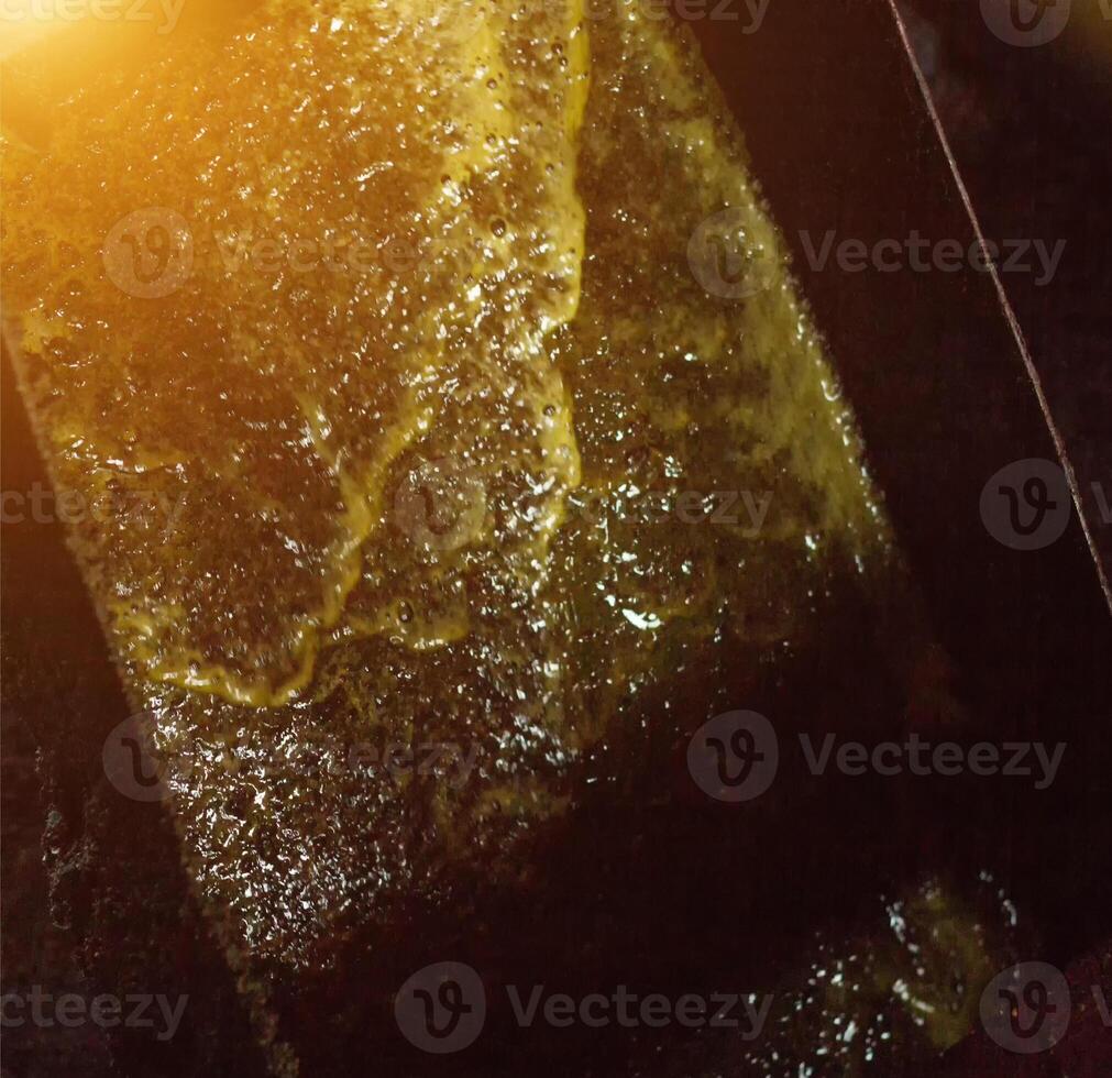 Production of rapeseed oil, output of rapeseed oil from the press to the storage tank, close-up. rape oil photo