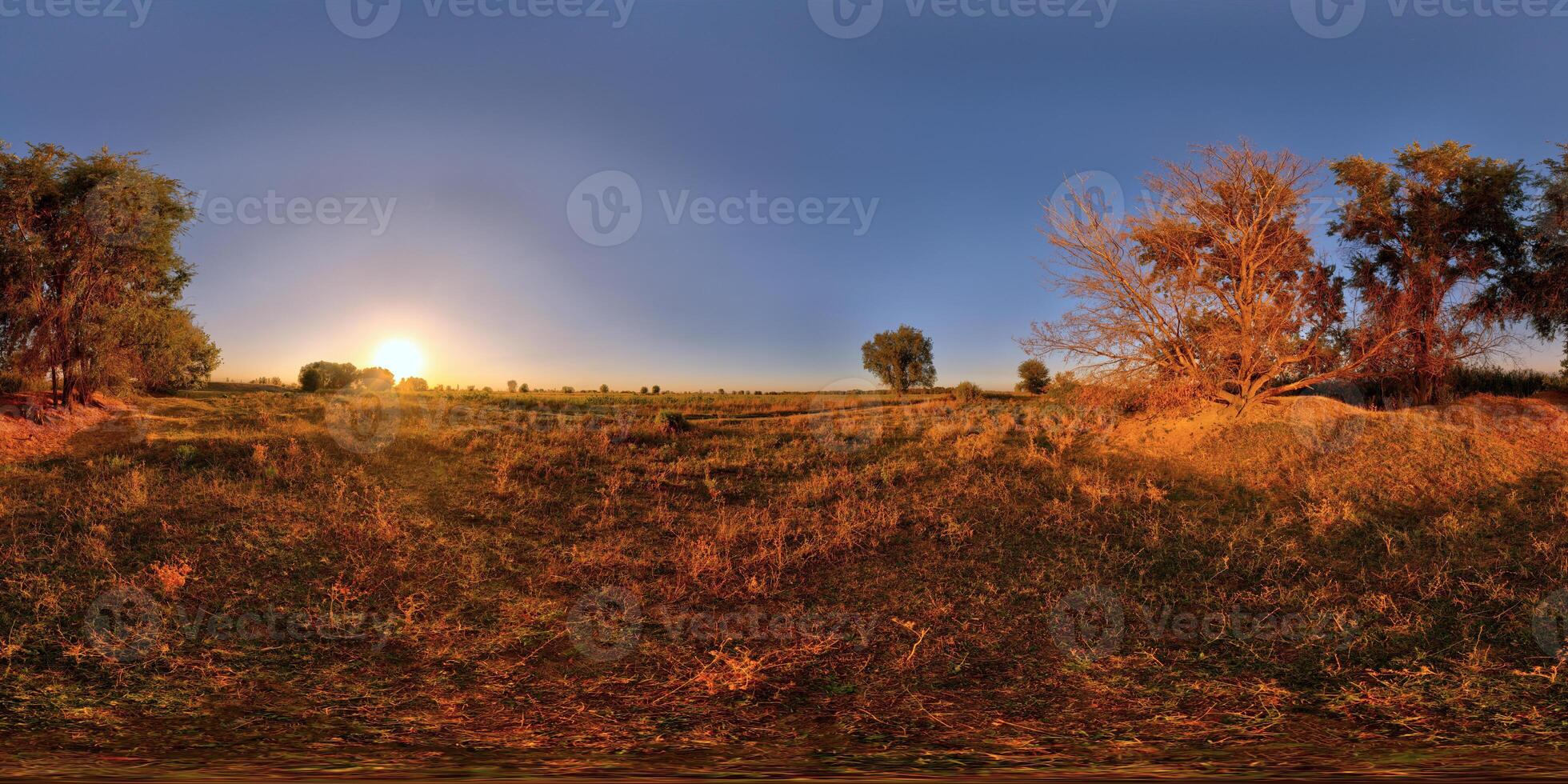 Spherical HDRi panorama of rustic autumn field sunset near trees photo