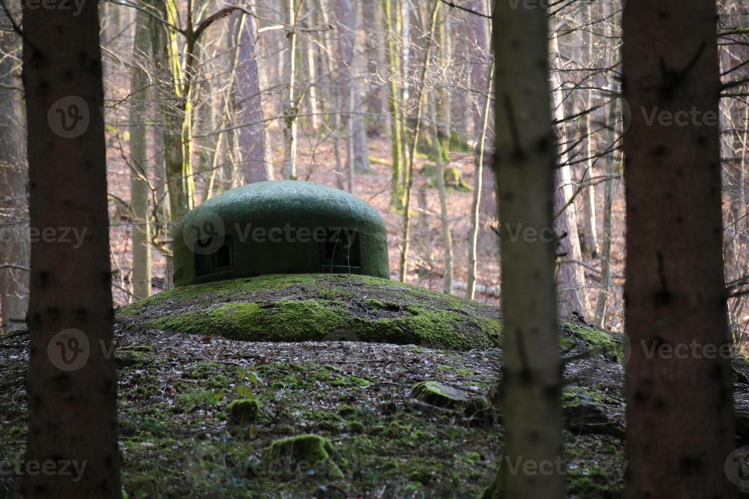 French bunker turret near Langensoultzbach, Vosges, France. It was built before WWII as part of the Maginot Line photo