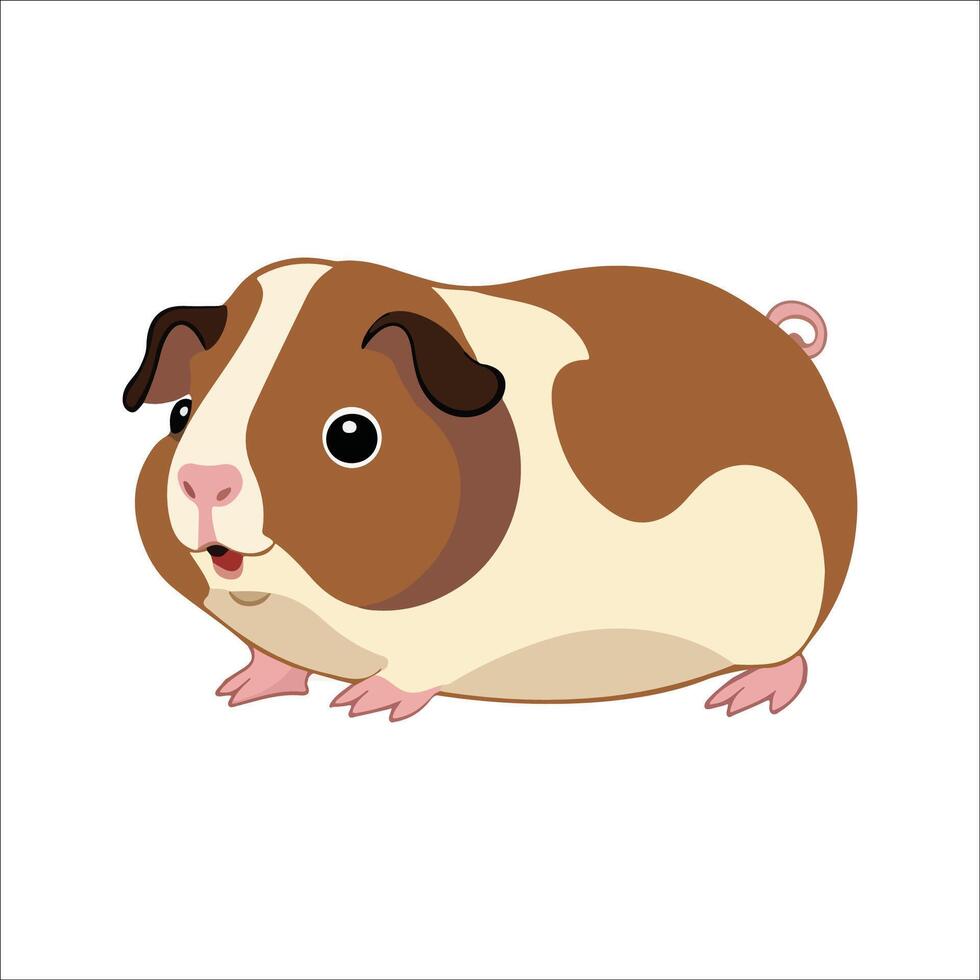 Flat Illustration of Adorable Guinea Pig with Large Eyes and Plump Body vector