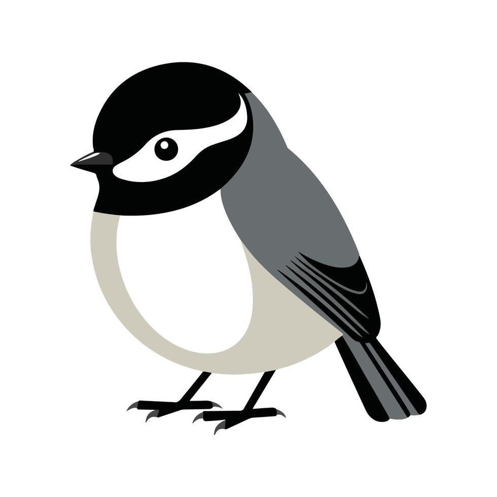 Flat Illustration of BlackCapped Chickadee with Black Cap and Clean Lines vector
