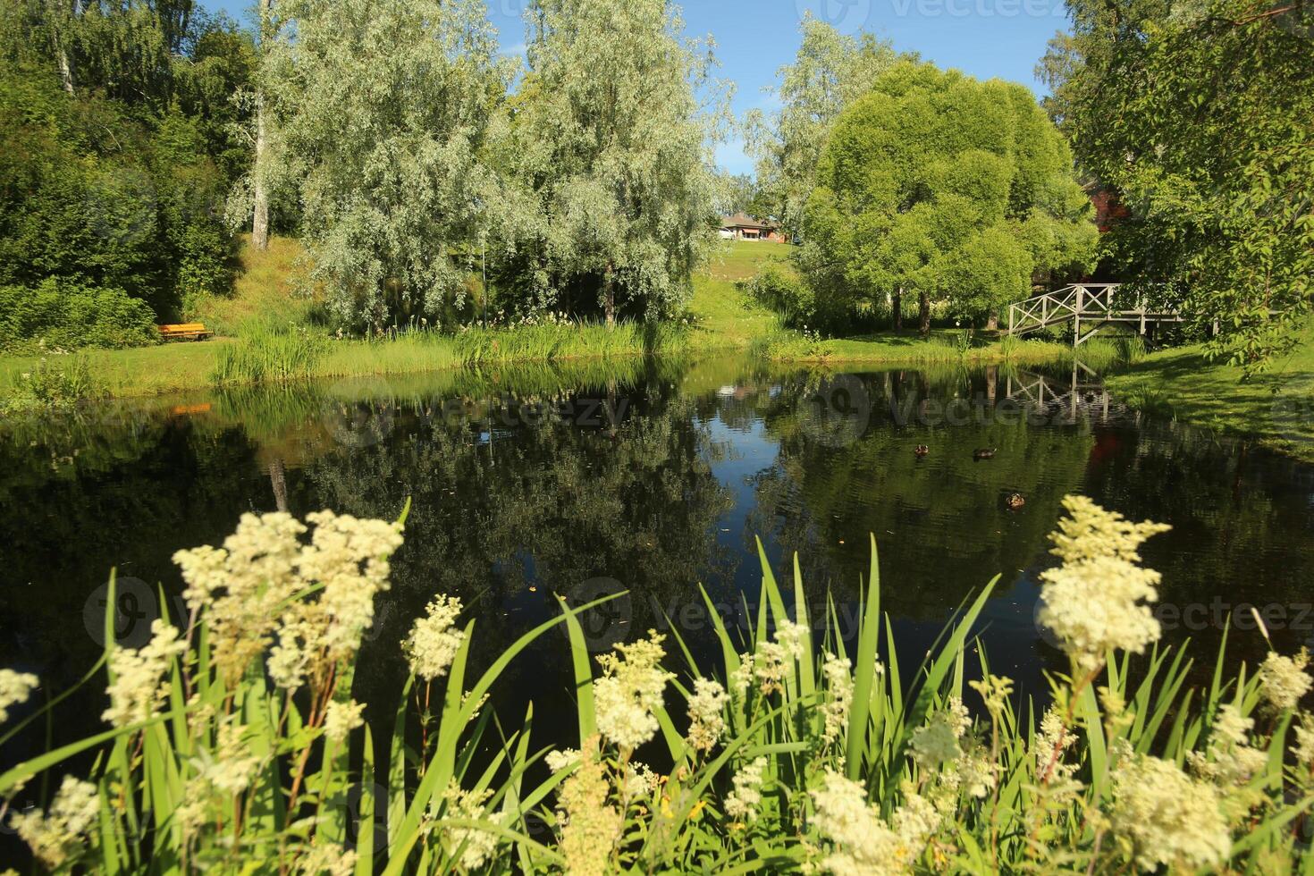 Beautiful pond in Nordanaparken in Skelleftea, Sweden photo